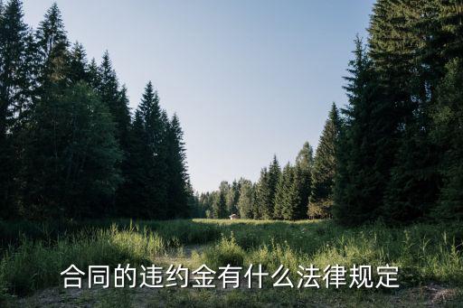 合同的違約金有什么法律規(guī)定