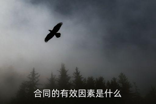 法律為什么保護(hù)有效的合同，先鑒合同與后鑒合同哪個更有法律救力