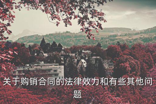 關(guān)于購(gòu)銷合同的法律效力和有些其他問(wèn)題
