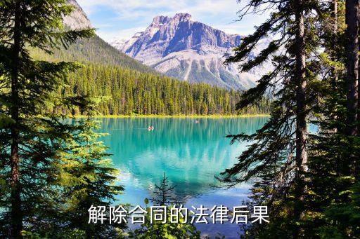 合同消滅后有什么法律后果，解除合同的法律后果