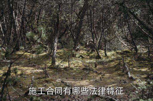 施工合同有哪些法律特征