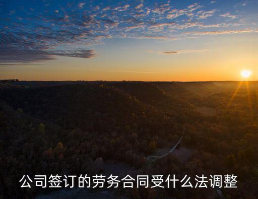 公司簽訂的勞務(wù)合同受什么法調(diào)整