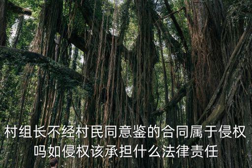 村官偽造合同違反什么法律，村組長(zhǎng)不經(jīng)村民同意鑒的合同屬于侵權(quán)嗎如侵權(quán)該承擔(dān)什么法律責(zé)任