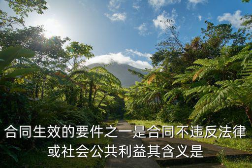 合同不違反法律指的是什么，合同生效的要件之一是合同不違反法律或社會公共利益其含義是