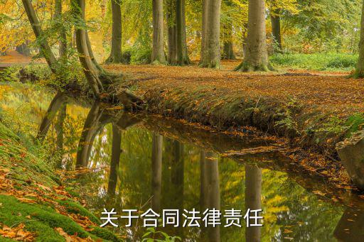 關(guān)于合同法律責(zé)任