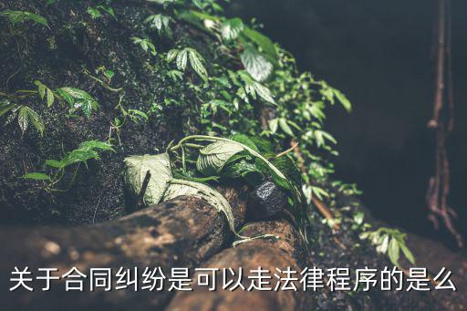 關(guān)于合同糾紛是可以走法律程序的是么