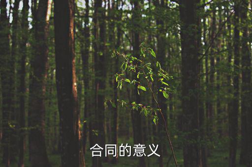 合同的意義