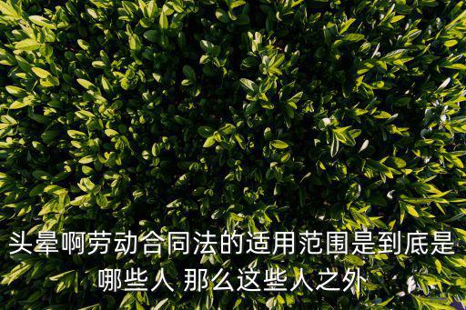 頭暈啊勞動(dòng)合同法的適用范圍是到底是哪些人 那么這些人之外