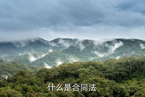 什么是合同法