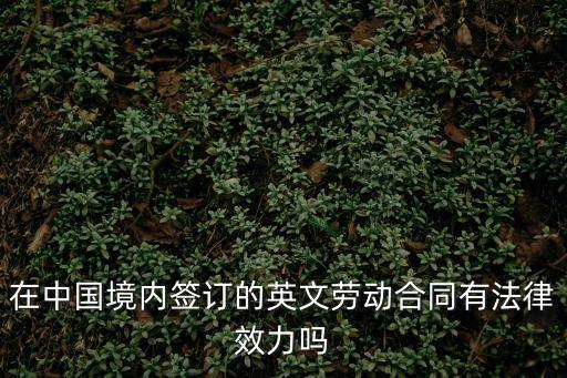 英文合同 參照什么法律，在中國境內(nèi)簽訂的英文勞動合同有法律效力嗎