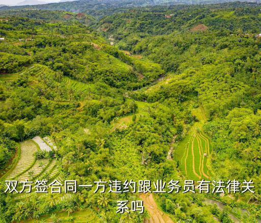 雙方簽合同一方違約跟業(yè)務(wù)員有法律關(guān)系嗎
