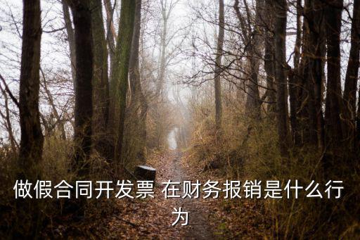 做假合同開發(fā)票 在財(cái)務(wù)報(bào)銷是什么行為