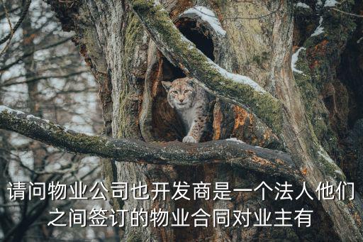 物業(yè)合同簽訂根據(jù)什么法律，物業(yè)管理甲乙雙方定立合同應(yīng)遵循什么原則