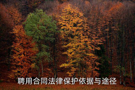 聘用合同法律保護依據(jù)與途徑