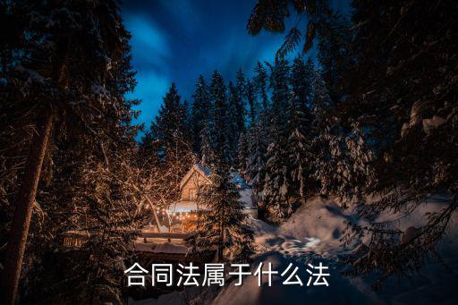 合同法屬于什么法