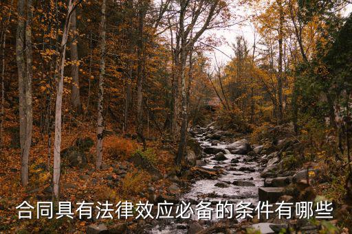 合同上是具備法律什么，合同是否具有法律效用
