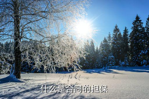 合同擔保有什么概念呢法律，什么是合同的擔保