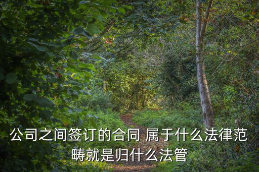 公司之間簽訂的合同 屬于什么法律范疇就是歸什么法管
