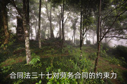 勞務(wù)合同用什么法律約束，勞動(dòng)合同具有什么約束力