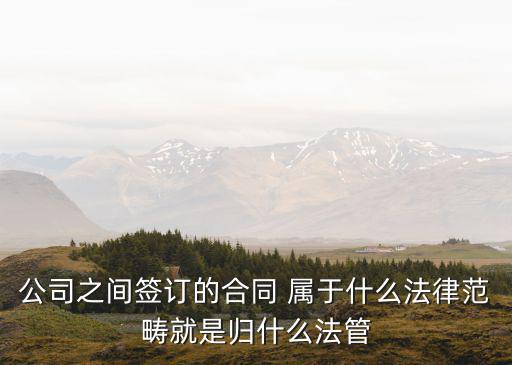 公司之間簽訂的合同 屬于什么法律范疇就是歸什么法管
