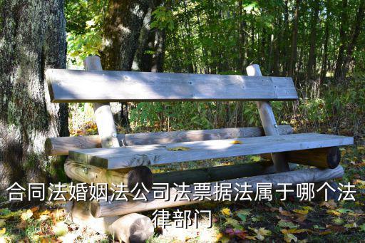 合同法婚姻法公司法票據(jù)法屬于哪個法律部門