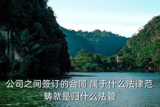 商事合同包含什么法律，公司之間簽訂的合同 屬于什么法律范疇就是歸什么法管