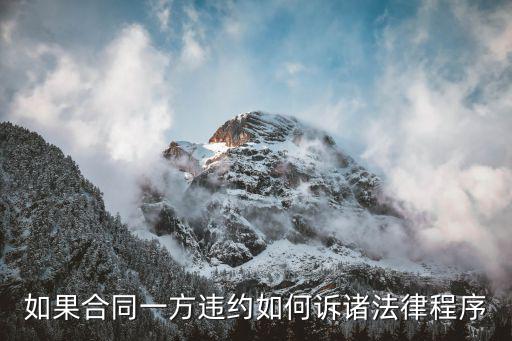 合同違約訴訟依照什么法律，關于合同違約的法律問題