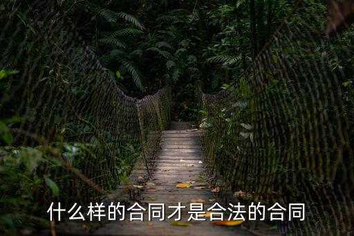 什么樣的合同才是合法的合同