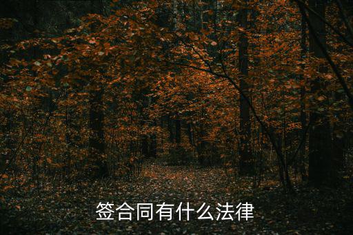 合同要具備法律什么，什么樣的合同才具有法律效果