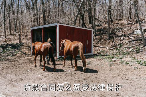 貸款合同怎么簽受法律保護(hù)
