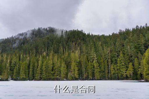 什么是合同的法律依據(jù)，什么是合同