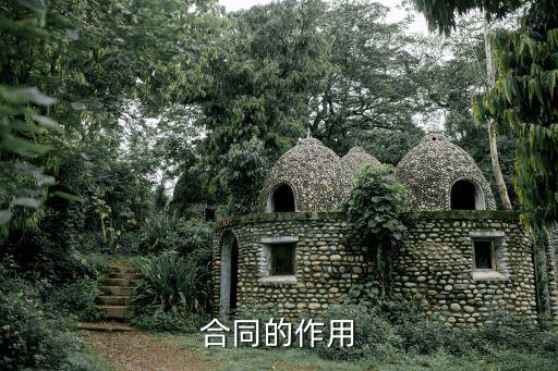 合同的作用