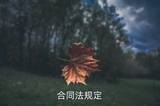 合同法規(guī)定