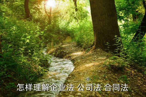 怎樣理解企業(yè)法 公司法 合同法
