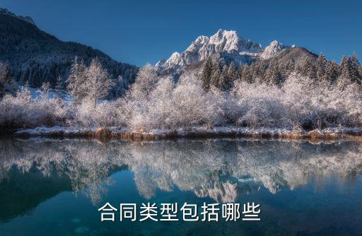 合同類型包括哪些