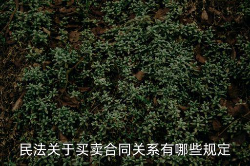 民法關(guān)于買賣合同關(guān)系有哪些規(guī)定