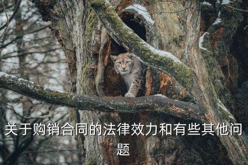 關(guān)于購銷合同的法律效力和有些其他問題