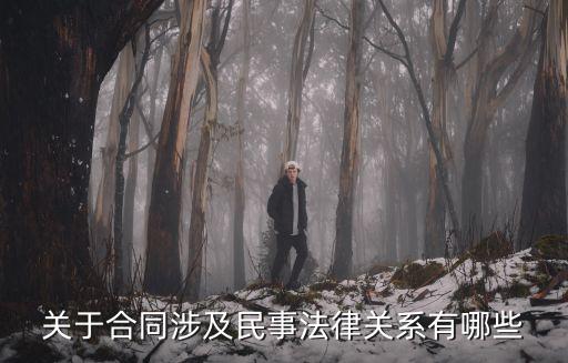 關(guān)于合同涉及民事法律關(guān)系有哪些