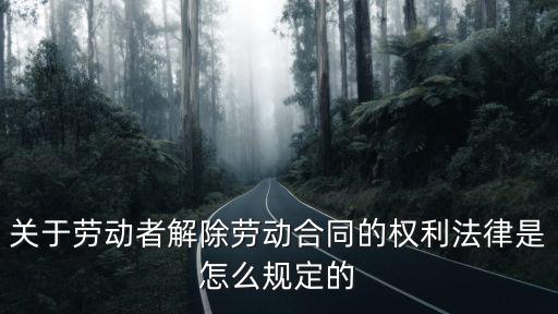 解除勞務(wù)合同依據(jù)什么法律，協(xié)商解除勞動合同法律依據(jù)