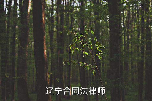 遼寧合同法律師