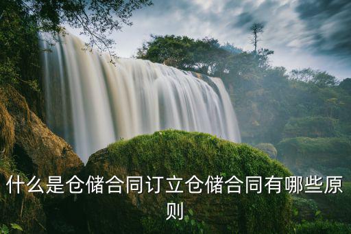 什么是倉儲合同訂立倉儲合同有哪些原則