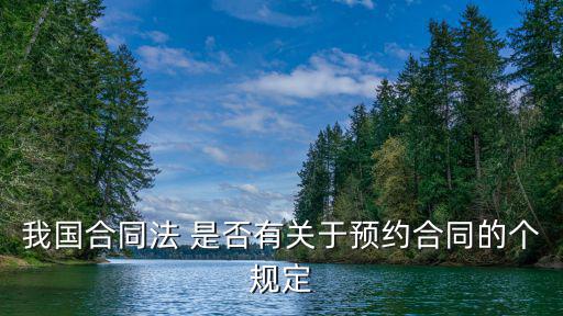 我國合同法 是否有關(guān)于預(yù)約合同的個規(guī)定