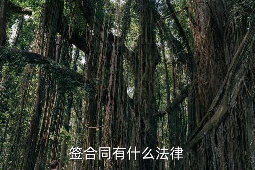 法律咨詢簽訂什么合同，企業(yè)聘請法律顧問應簽訂什么合同