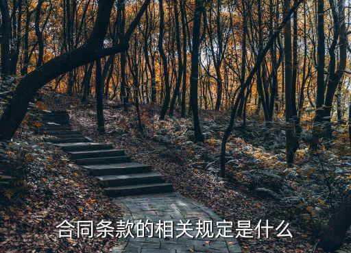 合同條款的相關(guān)規(guī)定是什么