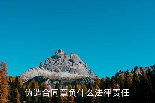 偽造合同章負(fù)什么法律責(zé)任
