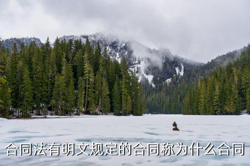 合同法有明文規(guī)定的合同稱為什么合同