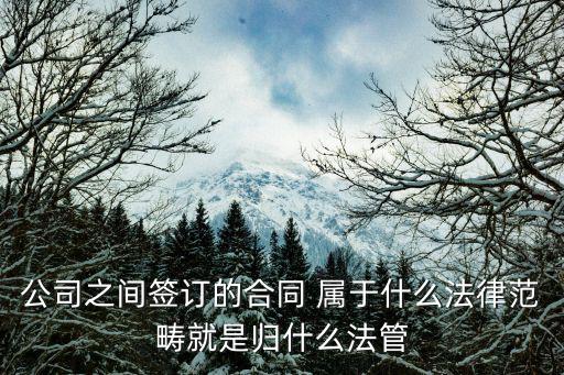 公司之間簽訂的合同 屬于什么法律范疇就是歸什么法管