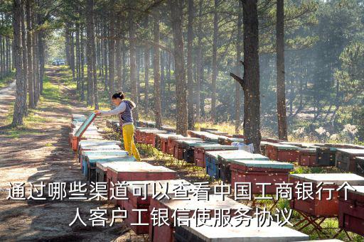 通過哪些渠道可以查看中國工商銀行個人客戶工銀信使服務(wù)協(xié)議