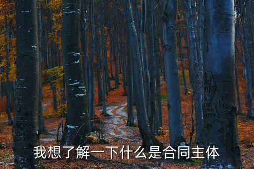 我想了解一下什么是合同主體