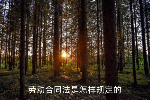 勞務(wù)合同根據(jù)什么法律規(guī)定，勞動合同法是怎樣規(guī)定的